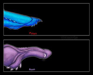 ambiguous_form bioluminescence bioluminescent_penis black_background blue_penis chart duo genitals glowing glowing_genitalia glowing_penis knot knotted_penis male penis penis_chart purple_penis purple_text red_text ridged_penis simple_background spiked_penis spikes spikes_(anatomy) text vein puppetmaster13uwu mythology aizen_sousuke madara_uchiha ambiguous_species dragon mythological_creature mythological_scalie scalie english_text