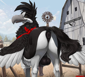alternate_species animal_genitalia animal_penis anus backsack balls barn bedroom_eyes big_balls black_balls black_body black_feathers black_fur butt dock_(anatomy) equine_anus equine_genitalia equine_penis feathered_wings feathers feral fur genitals kerchief kerchief_only long_beak looking_at_viewer looking_back looking_back_at_viewer male medial_ring mostly_nude narrowed_eyes neckerchief neckerchief_only neckwear outside penis presenting presenting_hindquarters puffy_anus seductive solo tail tail_aside wings truegrave9 european_mythology greek_mythology mythology dizfoley avian bird equid hippogriff mammal mythological_avian mythological_creature 2026 hi_res