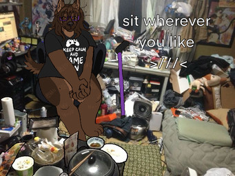 anthro cane clothed clothing dirty_room female girlfailure neet pantsless photo_background solo solo_focus breadbitch420 katie_(breadbitch420) canid canine canis domestic_dog german_shepherd herding_dog mammal pastoral_dog 4:3 meme photography_(artwork)