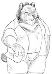 anthro belly bottomwear clothed clothing kemono male moobs navel open_clothing open_shirt open_topwear overweight overweight_male shirt shorts simple_background solo topwear white_background hysk bear mammal 2024 hi_res