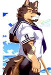 anthro broom brown_body brown_fur cleaning_tool countershading fur male muscular muscular_anthro muscular_male sailor sailor_uniform sea solo water sdeekkk lifewonders live_a_hero pubraseer canid canine canis domestic_dog mammal hi_res