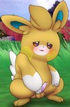 balls blush bodily_fluids feral fur genital_fluids genitals grass leaking_precum male masturbation orange_body orange_fur penile penile_masturbation penis plant precum solo tapering_penis mainnm-e nintendo pokemon generation_9_pokemon pawmo pokemon_(species)