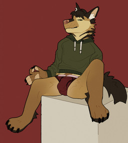 anthro black_body black_fur briefs brown_body brown_fur bulge clothing fur green_eyes hoodie looking_at_viewer male male_anthro red_background simple_background sitting solo spread_legs spreading tail tan_body tan_fur teeth topwear underwear whisker_spots white_body white_fur tikodoodles canid canine canis domestic_dog german_shepherd herding_dog mammal pastoral_dog 2022 hi_res