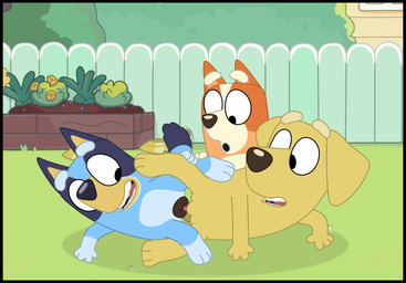 anthro balls black_border blue_body blue_fur border duo erection female fur genitals knotting male penetration penis sex smile tail young young_anthro young_female kaion bluey_(series) bluey_heeler lucky_(bluey) australian_cattle_dog bird_dog canid canine canis cattledog domestic_dog herding_dog hunting_dog labrador mammal pastoral_dog retriever hi_res