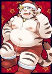 anthro belly big_belly blush bulge christmas_clothing christmas_headwear clothing cute_fangs hat headgear headwear holidays humanoid_hands kemono male moobs navel nipples overweight overweight_male santa_hat solo underwear white_body ptcmtr christmas lifewonders tokyo_afterschool_summoners licho_(tas) felid mammal pantherine tiger 2021 absurd_res hi_res