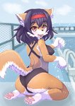 5_toes anthro backless_clothing backless_swimsuit breasts butt clothed clothing feet female female_anthro fur gloves_(marking) grey_clothing grey_swimwear hair inner_ear_fluff kemono leg_markings markings one-piece_swimsuit open-back_swimsuit open_mouth pawpads socks_(marking) solo sport_swimsuit swimming_pool swimwear teeth toes tongue tuft agura_(pixiv) canid canine canis domestic_dog mammal