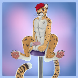 anthro athletic athletic_anthro athletic_male balls black_body black_fur erection foreskin fur furniture genitals glans hair humanoid_genitalia humanoid_penis male male_anthro markings nude nude_anthro nude_male partially_retracted_foreskin pawpads penis red_hair simple_background sitting solo spots spotted_body spotted_fur stool tail whiskers white_body white_fur yellow_body yellow_fur themutt cheetah felid feline mammal 1:1 2019 absurd_res hi_res