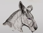 anthro male purple_eyes scar smile smirk solo coldsoul shane_miller kangaroo macropod mammal marsupial bust_portrait headshot_portrait hi_res portrait signature