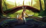 anthro antlers butt detailed_background forest fur horn looking_at_viewer male nude outside plant pond solo tree theowlette koen deer mammal 2017 absurd_res digital_media_(artwork) hi_res