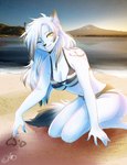 anthro beach bikini clothing female fur japan looking_at_viewer pose seaside smile smiling_at_viewer solo sunset swimwear two-piece_swimsuit white_body white_fur voidified arctic_fox canid canine fox mammal true_fox hi_res pinup