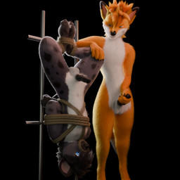 anthro bdsm blue_eyes dom/sub duo erection fur grey_body grey_fur male male/male orange_body orange_fur vrchat_model white_body white_fur fox_the_hyena canid canine fox hyena mammal red_fox spotted_hyena true_fox 1:1 3d_(artwork) absurd_res digital_media_(artwork) hi_res