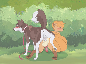 4_toes all_fours anal anal_knotting anal_penetration animal_genitalia animal_penis anthro anthro_on_feral anthro_penetrated anus ass_to_ass backsack balls bestiality black_sclera blush brown_body brown_fur brown_pawpads butt canine_genitalia canine_penis collar countershading digitigrade dipstick_tail doggystyle duo erection eyes_closed feet feral feral_penetrating feral_penetrating_anthro feral_penetrating_male fluffy from_behind_position fur genitals grass green_eyes hair interspecies knot knotted_penis knotting leash leashed_collar leg_markings looking_back looking_pleasured male male/male male_anthro male_feral male_on_anthro male_on_feral male_on_top male_penetrated male_penetrating male_penetrating_anthro male_penetrating_male markings multi_tail multicolored_body narrowed_eyes nude on_top orange_body orange_fur orange_hair orange_tail outside pawpads paws penetration penile penile_penetration penis penis_in_ass perineum plant raised_leg raised_tail rear_view red_genitals red_penis sex sheath shrub socks_(marking) tail tail_markings toes white_balls white_body white_fur gushoafterdark psychobatsu nintendo pokemon ember_(elitetheespeon) fan_character robinv canid canine canis domestic_dog generation_1_pokemon husky mammal nordic_sled_dog pokemon_(species) spitz vulpix absurd_res hi_res