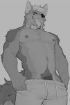 anthro bottomwear clothed clothing genitals male pants penis penis_base pubes solo tongue tongue_out topless 9klipse ferik_(spicyracoonguy) canid canine canis coyote mammal hi_res monochrome