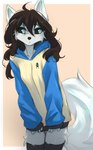 5_fingers anthro biped black_hair black_sclera blue_eyes border breasts clothed clothed_anthro clothed_female clothing female fingers front_view fur hair kigurumi legwear looking_aside onesie simple_background solo standing tail thigh_highs white_body white_border white_fur white_tail tinygaypirate canid canine fox mammal 2025 digital_media_(artwork) hi_res