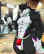 anthro black_body black_fur clothing exercise fluffy fluffy_tail fur jockstrap male multicolored_body muscular muscular_male rainbow solo tail underwear weightlifting weights white_body white_fur workout oreonart morchogames_(copyright) furry_morcho canid canine canis mammal wolf absurd_res animated hi_res no_sound short_playtime webm