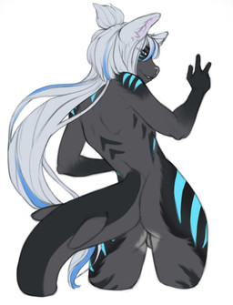 ambiguous_gender anthro backsack balls genitals gynomorph hair intersex long_hair multicolored_body ponytail shark_tail solo white_hair saucetyan amare_lienn aquatic canid hybrid mammal hi_res