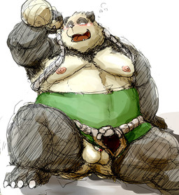alcohol anthro barazoku beverage clothed clothing drunk flaccid foreskin genitals humanoid_genitalia humanoid_penis kemono male muscular muscular_anthro muscular_male obese obese_anthro obese_male overweight overweight_anthro overweight_male partially_clothed penis simple_background sitting solo substance_intoxication white_background kotobuki blizzard_entertainment warcraft bear mammal pandaren 2015