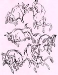 feral male pink_background simple_background solo 2n2n bovid bovine cattle mammal 2018 hi_res sketch sketch_page