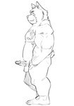 anthro balls erection genitals humanoid_genitalia humanoid_hands humanoid_penis kemono male overweight overweight_male penis simple_background solo ujishiyo canid canine canis domestic_dog mammal 2022 hi_res monochrome sketch