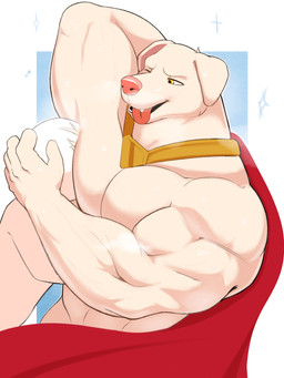 anthro anthrofied armpit_fetish armpit_hair armpit_play barazoku biceps big_muscles blue_background body_hair border cape clothing collar convenient_censorship duo fur hand_on_head huge_muscles humanoid_on_anthro larger_anthro male male/male muscular muscular_anthro muscular_male narrowed_eyes nude one_eye_closed open_mouth open_smile pecs raised_arm simple_background size_difference smaller_humanoid smile teeth tongue tongue_out triceps tuft white_border doggonut dc_comics krypto_the_superdog anon krypto canid canine canis domestic_dog humanoid mammal 2022 3:4 absurd_res hi_res
