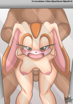 aged_up anthro anthro_penetrated arm_grab balls breasts brown_body brown_eyes brown_penis brown_skin dark_body dark_penis dark_skin duo faceless_character faceless_male female female_pov first_person_view fur genitals half-closed_eyes human_on_anthro human_penetrating human_penetrating_anthro human_penetrating_female interspecies looking_at_viewer looking_pleasured male male/female mirror mirror_reflection narrowed_eyes nipples open_mouth penetration penis rabbit_ears reflection reflective_body sex tan_body tan_fur tongue vaginal vaginal_penetration sirjzau sega sonic_the_hedgehog_(series) cream_the_rabbit human lagomorph leporid mammal rabbit hi_res