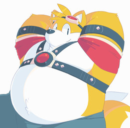 anthro belly biped black_nose bottomwear clothing harness leather leather_harness male overweight overweight_male pants simple_background sitting solo white_background white_body greenendorf sega sonic_the_hedgehog_(series) miles_prower canid canine fox mammal 2015