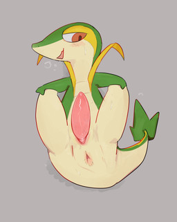 animal_genitalia anus blush blush_lines blush_stickers bodily_fluids feral genital_slit genitals green_body green_skin grey_background half-closed_eyes head_to_side holding_both_legs leaf leaf_tail looking_back male narrowed_eyes open_mouth open_smile penis pink_anus pink_penis presenting presenting_anus presenting_penis red_eyes simple_background smile snout solo spread_legs spreading steamy_breath sweat sweaty_body sweaty_face sweaty_legs sweaty_thighs tail thick_tail vulva solterv nintendo pokemon generation_5_pokemon pokemon_(species) snivy 2026 absurd_res hi_res
