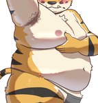 anthro armpit_hair asian_clothing belly big_belly blush body_hair clothing east_asian_clothing fundoshi japanese_clothing kemono male moobs navel nipples overweight overweight_male simple_background solo underwear white_background hon55728 felid mammal pantherine tiger 2025 hi_res