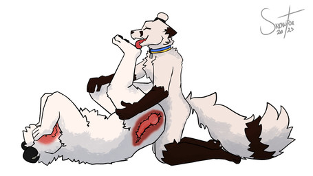 anal anal_knotting anal_penetration animal_genitalia animal_penis anthro big_butt blush blushing_profusely brown_body brown_fur butt canine_genitalia canine_penis collar collar_only collar_tag covering covering_face duo erection eyes_closed feet foot_fetish foot_lick foot_play from_front_position fur genitals hair hindpaw internal internal_anal knot knot_root knotted_penis knotting licking lying male male/male male_penetrated male_penetrating male_penetrating_male markings missionary_position nude on_back open_mouth paws penetration penile penile_penetration penis penis_in_ass prey_penetrating_predator sex simple_background size_difference small_dom_big_sub small_top small_top_big_bottom tail tail_markings tongue white_background white_body white_fur wide_hips x-ray_view snow_the_arctic_fox(artist) arctic_fox bear canid canine fox mammal polar_bear true_fox ursine 16:9 colored digital_drawing_(artwork) digital_media_(artwork) hi_res shaded widescreen