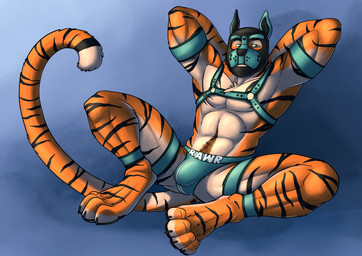 animal_mask anthro athletic athletic_anthro athletic_male blue_bottomwear blue_clothing blue_harness body_hair bottomwear brown_pubes bulge clothing front_view fur glistening glistening_eyes green_eyes hands_behind_head happy_trail harness looking_at_viewer male male_anthro markings mask o_rings orange_body orange_fur pube_peek pubes pup_mask solo striped_arms striped_legs striped_markings striped_tail stripes tail tail_markings wearing_mask white_body white_fur hufnaar kato_(light_sanrei) felid mammal pantherine tiger absurd_res hi_res