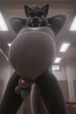 animal_genitalia anthro balls belly big_belly bouncing_balls digestion fur genitals hair hands_behind_head locker_room looking_at_viewer male male_pred nude oral_vore penis penis_tip sheath smile solo vore johnwulffe videlthewusky canid canine canis domestic_dog husky hybrid mammal nordic_sled_dog spitz wolf wolfdog 3d_(artwork) 3d_animation animated digital_media_(artwork) hi_res sound webm