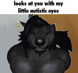 anthro body_hair chest_hair eye_scar facial_scar hair male muscular muscular_anthro muscular_male scar solo text hazed01 mythology vincent_vann_valentine canid canine canis mammal mythological_canine mythological_creature werecanid werecanine werecreature werewolf english_text hi_res meme