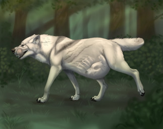 abdominal_bulge after_vore black_nose bone bones_in_stomach death digestion fatal_vore feral feral_pred forest licking licking_lips plant solo tongue tongue_out tree vore aggr.mor canid canine canis mammal wolf hi_res