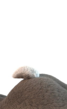 anthro butt butt_shot female fur simple_background solo white_background unknown_artist disney zootopia judy_hopps lagomorph leporid mammal rabbit 3d_(artwork) digital_media_(artwork) hi_res source_request