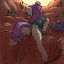 animal_genitalia animal_vulva anus backpack bottomless bottomless_female butt casual_exposure climbing clothed clothing cutie_mark detailed_background equine_genitalia equine_vulva female feral fur genitals grey_body grey_fur grey_vulva hair outside purple_hair raised_leg raised_tail shirt solo tail teal_clothing teal_shirt teal_topwear topwear vulva t72b friendship_is_magic hasbro my_little_pony maud_pie_(mlp) equid mammal 1:1 absurd_res hi_res