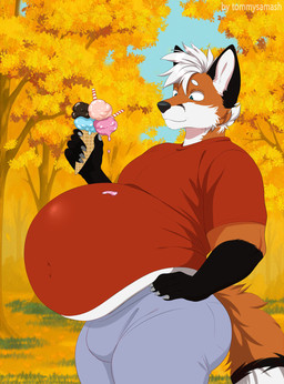 anthro autumn belly big_belly black_body black_fur bloated bulge clothing dessert food fur hair ice_cream male orange_body orange_fur overweight overweight_anthro overweight_male shirt solo tight_clothing topwear weight_gain white_body white_fur white_hair tommysamash canid canine fox mammal red_fox true_fox hi_res