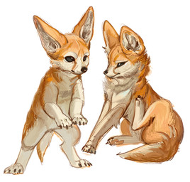 ambiguous_gender black_eyes black_nose claws feral fur nude_ambiguous orange_body orange_fur quadruped safe_nudity scratching_self solo tan_body tan_fur tan_inner_ear toe_claws white_body white_fur hemuchang canid canine fennec_fox fox mammal true_fox 2024 hi_res