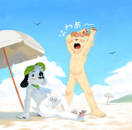 5_fingers 5_toes anthro arm_on_leg arm_support backward_arm_support balls beach black_nose blue_eyes blue_sky blush buckteeth casual_nudity cheek_tuft claws clothing cloud collar collar_only curled_horn detailed_background duo erection eye_markings eyes_closed facial_tuft feet female female_anthro finger_claws fingers flat_chested floppy_ears flower_accessory foreskin fur genitals hair hat hat_only head_tuft headgear headgear_only headwear headwear_only heterochromatic_ears horn kemono leaning leaning_backward male male_anthro markings mostly_nude navel nipples nude nude_anthro nude_female nude_male open_mouth outdoor_nudity pawpads penis pink_hair public public_nudity sand short_tail sitting sky smile social_nudity standing stretching stretching_arms tail tan_body tan_fur teeth text toe_claws toes tongue tuft umbrella unretracted_foreskin vulva white_body white_fur yawn young young_anthro young_female young_male yukonkuma discovery_kids doki_adventures doki_(character) gabi_(doki_adventures) bovid canid canine canis caprine domestic_dog goat mammal 2025 absurd_res digital_drawing_(artwork) digital_media_(artwork) hi_res japanese_text shaded