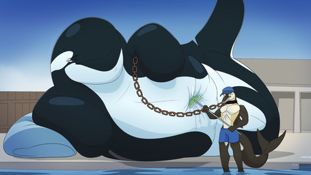 ambiguous_gender bdsm belly belly_squish black_arms black_body black_fin black_legs black_tail blue_bottomwear blue_clothing blue_hat blue_headwear blue_shorts bondage bottomwear bound chain cleaning_tool clothing dolphin_tail duo feral hat headgear headwear mop shorts squish tail water dolphinproject aquatic cetacean dolphin mammal oceanic_dolphin orca toothed_whale 16:9 2026 hi_res widescreen