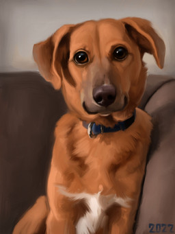 blue_collar brown_body brown_eyes brown_fur collar feral floppy_ears fur furniture looking_at_viewer markings on_sofa quadruped sofa solo tan_body tan_fur white_markings alexpahomov bird_dog canid canine canis domestic_dog hunting_dog mammal mixed_breed retriever 2022 digital_media_(artwork) digital_painting_(artwork) hi_res painting_(artwork)