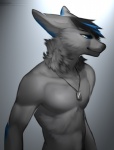 anthro black_hair black_nose blue_eyes blue_hair clothed clothing dog_tags fur grey_background grey_body grey_fur hair jewelry male multicolored_hair necklace neck_tuft simple_background smile smirk solo topless tuft two_tone_hair angiewolf carijet canid canine canis mammal wolf 2015 cool_colors digital_media_(artwork) grey_theme