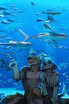 4_fingers anthro aquarium black_nose duo fingers male nude public_aquarium sitting smile spots underwater vivarium water kunaike canid canine canis domestic_dog fish mammal marine wolf 2019 2:3 hi_res