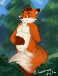 anthro belly eyewear genitals glasses humanoid_hands male moobs navel nipples overweight overweight_anthro overweight_male penis slightly_chubby solo furball_shirokm canid canine fox mammal 2017 hi_res