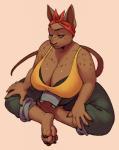 anthro big_breasts biped bra bra_peek breasts cleavage clothed clothing female hairless huge_breasts kerchief one_eye_closed shirt sitting slightly_chubby solo tank_top topwear underwear takiminada hana_hakken domestic_cat felid feline felis hairless_cat mammal sphynx_(cat) digital_media_(artwork) hi_res shaded