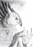 ambiguous_gender anthro feathers magic solo alectorfencer avian 2008 bust_portrait graphite_(artwork) greyscale monochrome portrait traditional_media_(artwork)