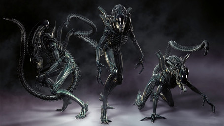 2_mouths 3_fingers 4_toes all_fours ambiguous_gender bared_fangs bared_teeth bent_legs black_background black_body black_exoskeleton black_limbs black_shell bodily_fluids claws colored_nails drooling elongated_head exoskeleton eyeless faceless featureless_crotch feet fingernails fingers floor fused_fingers glistening glistening_body glistening_chest glistening_head glistening_limbs gradient_background group head_crest long_fingernails long_fingers looking_at_viewer multi_mouth nails noseless nude nude_ambiguous nude_humanoid open_mouth posed purple_background raised_tail saliva saliva_string shell simple_background slim small_waist spiked_tail spikes spikes_(anatomy) tail teeth thin_arms thin_calves thin_legs thin_thighs toe_claws toes trio white_claws white_fingernails white_nails unknown_artist alien_(franchise) alien alien_humanoid humanoid xenomorph 16:9 2013 3d_(artwork) colored digital_media_(artwork) hi_res restricted_palette source_request wallpaper widescreen