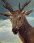 antlers brown_body brown_fur feral fur horn looking_at_viewer male outside photorealism realistic solo diego_velazquez public_domain cervine deer mammal red_deer 17th_century absurd_res ancient_art bust_portrait hi_res oil_painting_(artwork) painting_(artwork) portrait traditional_media_(artwork)