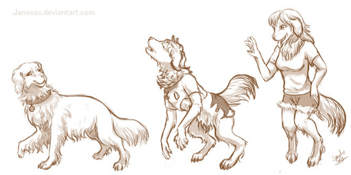 5_fingers anthro base_one_layout basic_sequence bottomwear breasts chest_tuft clothing collar collar_tag digitigrade female feral feral_to_anthro fingers floppy_ears fur hair linear_sequence long_fur long_hair one_row_layout quadruped shirt shorts simple_background smile solo species_transformation standing t-shirt three_frame_image three_frame_sequence topwear transformation transformation_sequence tuft lylas bird_dog canid canine canis domestic_dog golden_retriever hunting_dog mammal retriever 2014 hi_res monochrome sequence
