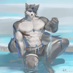 abs anthro arm_tuft blue_eyes blue_hair bottomwear cheek_tuft clothed clothing elbow_tuft facial_tuft front_view fur glistening glistening_eyes grey_body grey_bottomwear grey_clothing grey_fur grey_hair grey_shorts hair heterochromia male multicolored_hair muscular muscular_anthro muscular_male navel nipples partially_submerged pecs pink_nipples red_eyes shorts sitting solo topless tuft two_tone_hair water white_body white_fur awaldkize canid canine mammal 1:1 2025 absurd_res dated hi_res signature