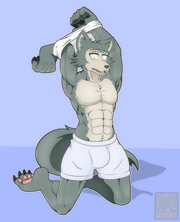 abs anthro big_bulge boxers_(clothing) bulge cheek_tuft chest_tuft claws clothing ear_tuft eye_scar facial_scar facial_tuft fur grey_body grey_fur kneeling male multicolored_body multicolored_fur muscular muscular_anthro muscular_male nails pawpads pecs pose removing_shirt scar sharp_teeth simple_background solo tail teeth topwear tuft underwear undressing mklancer00 beastars legoshi_(beastars) canid canine canis mammal wolf 2020 hi_res